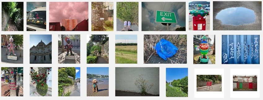 A grid of photos of dogs, parks, streets and houses.